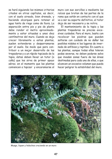 Manual de biodiversidad “El Jardín Salvaje” - Asociación Reforesta
