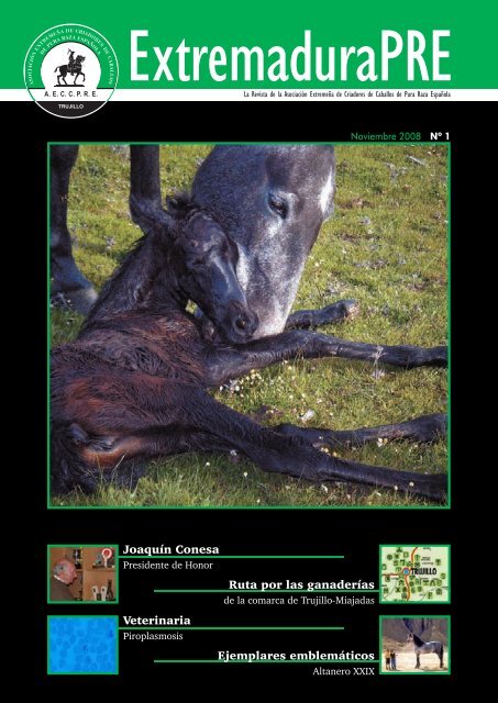 Nº 01 Noviembre 2008 - AECCPRE