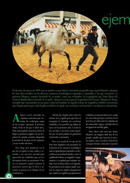 Nº 01 Noviembre 2008 - AECCPRE