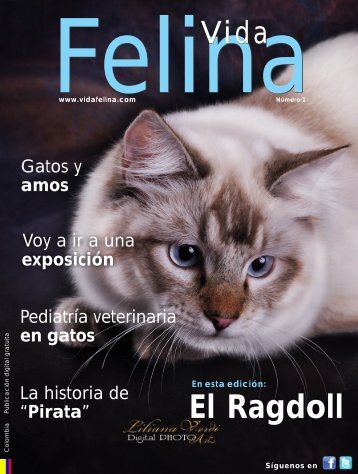 Revista Vida Felina - 1 Edición