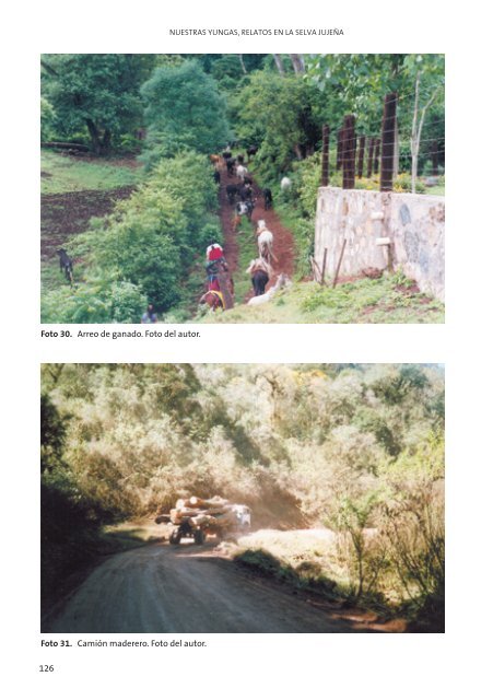 Nuestras Yungas, relatos en la selva jujeña - Fundación ProYungas