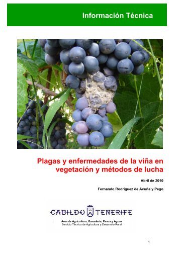 Plagas y enfermedades de la viña en vegetación y ... - AgroCabildo