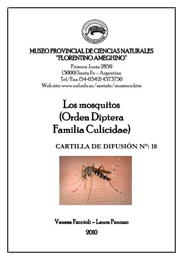 Los mosquitos (Orden Diptera Familia Culicidae)