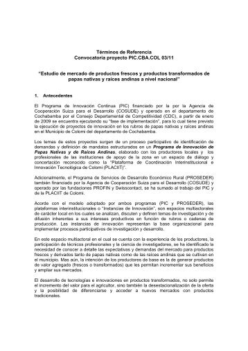 ebook Transnationalisierung nationaler Öffentlichkeit: Konfliktinduzierte Kommunikationsverdichtungen