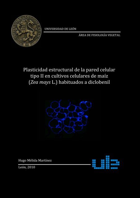 Diapositiva 1 Universidad De Leon