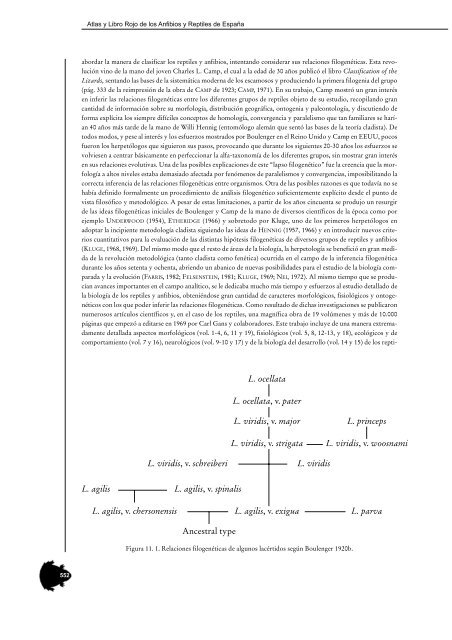 Los métodos moleculares en el estudio de la sistemática y filogenia ...