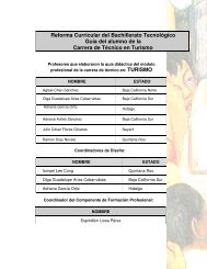 Reforma Curricular del Bachillerato Tecnológico Guía del alumno ...