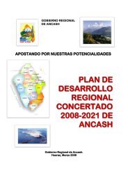 Plan de Desarrollo Regional Concertado 2008 – 2021 - Gobierno ...