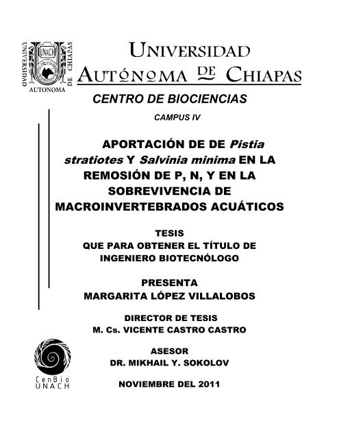 Portada - Universidad Autónoma de Chiapas