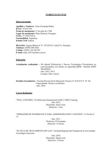 CURRICULUM VITAE - Mining Press