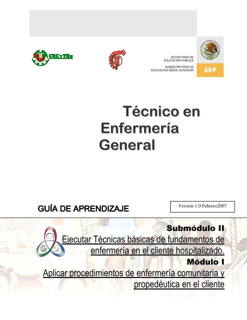 Técnico en Enfermería General - Colegio de Estudios Científicos y ...