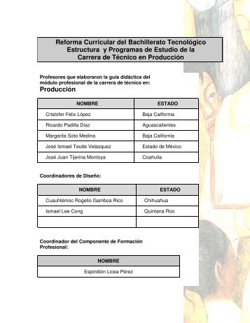 Producción Reforma Curricular del Bachillerato ... - Cecyte
