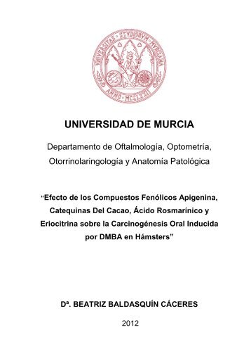 TESIS DOCTORAL Dª BEATRIZ BALDASQUIN CÁCERES.pdf