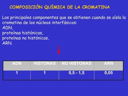 composición química de la cromatina