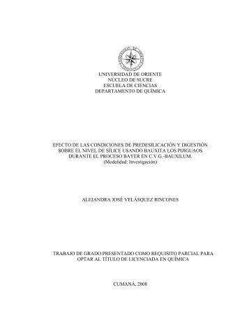 Elementos constitutivos del informe de trabajo de grado