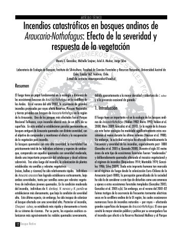 Incendios catastróficos en bosques andinos de Araucaria ...