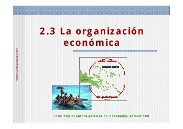 La organización económica - Concha Doncel