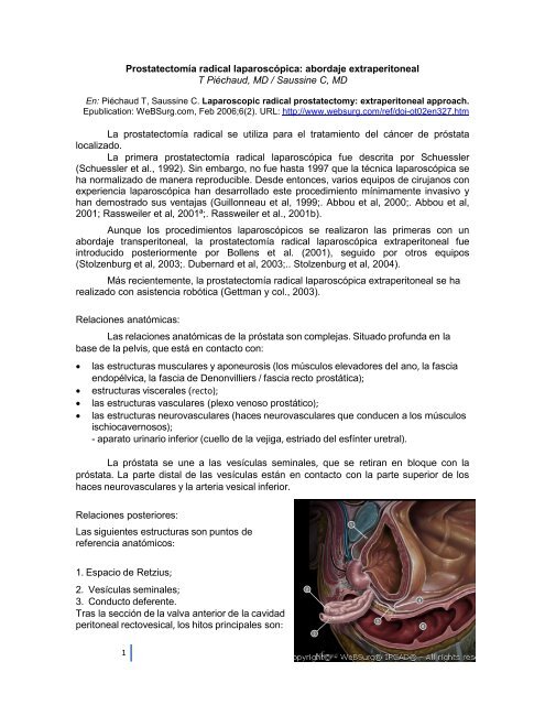 próstata supina próstata supina