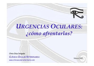 Urgencias Oculares - Clinica Ocular Veterinaria