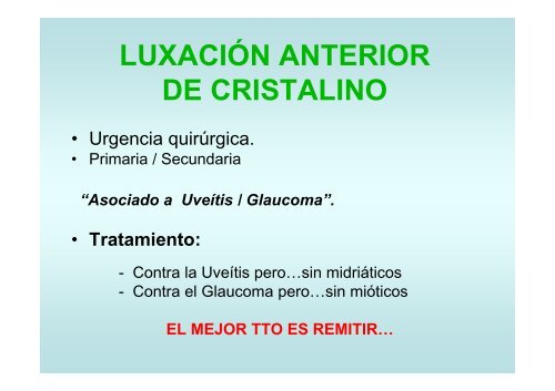 Urgencias Oculares - Clinica Ocular Veterinaria