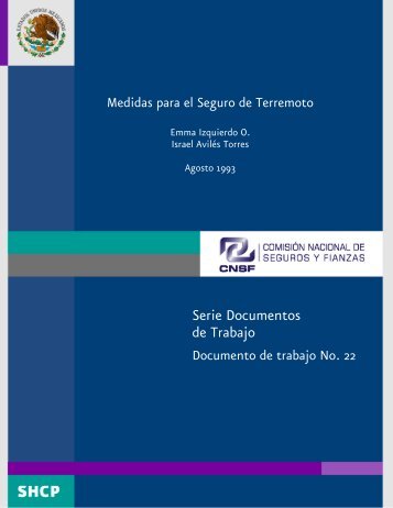 Serie Documentos de Trabajo - Cnsf