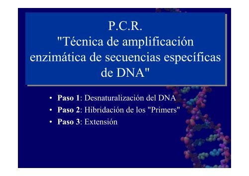 P.C.R. "Técnica de amplificación enzimática de secuencias ...