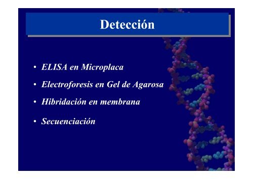 P.C.R. "Técnica de amplificación enzimática de secuencias ...