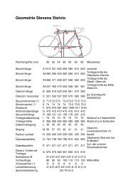 Geometrie Stevens Stelvio - Radsport Smit