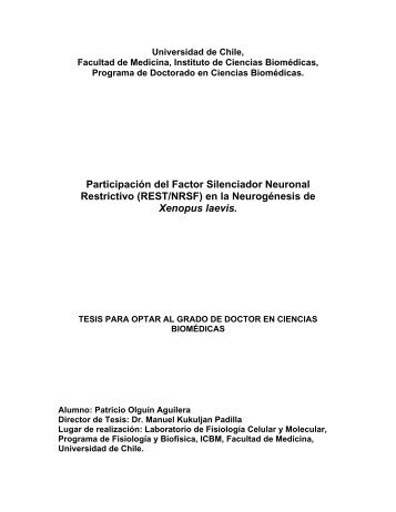 Participación del Factor Silenciador Neuronal Restrictivo - Tesis ...