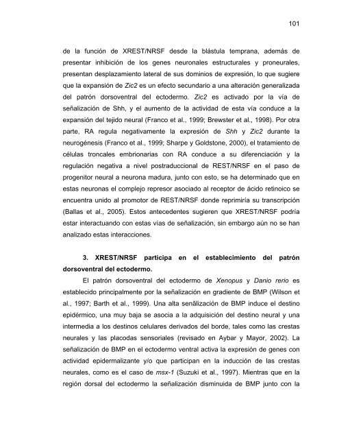 Participación del Factor Silenciador Neuronal Restrictivo - Tesis ...