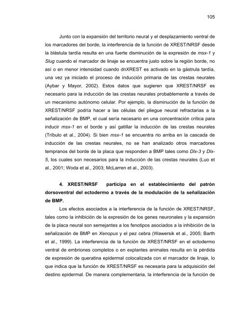 Participación del Factor Silenciador Neuronal Restrictivo - Tesis ...