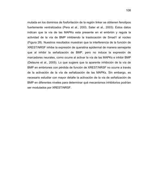 Participación del Factor Silenciador Neuronal Restrictivo - Tesis ...