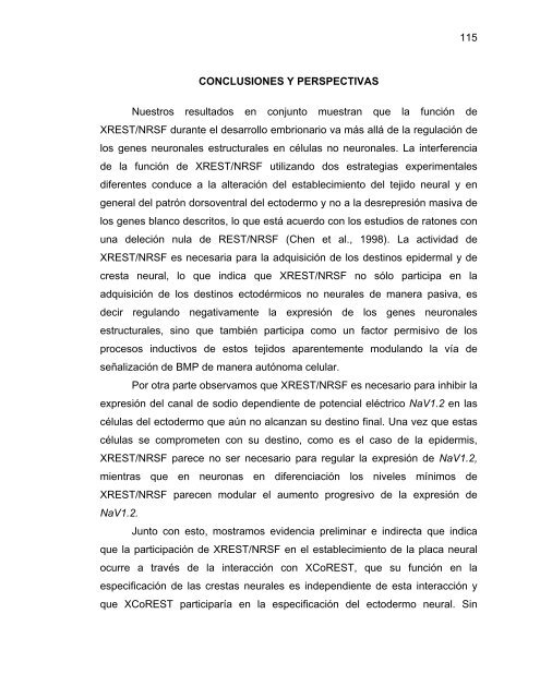 Participación del Factor Silenciador Neuronal Restrictivo - Tesis ...