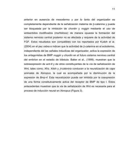 Participación del Factor Silenciador Neuronal Restrictivo - Tesis ...