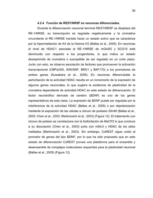 Participación del Factor Silenciador Neuronal Restrictivo - Tesis ...