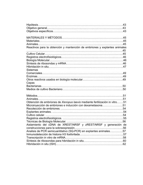 Participación del Factor Silenciador Neuronal Restrictivo - Tesis ...