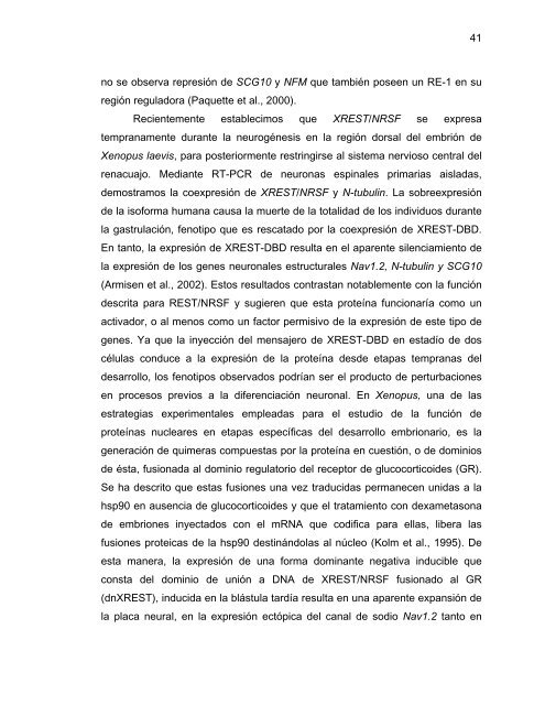 Participación del Factor Silenciador Neuronal Restrictivo - Tesis ...