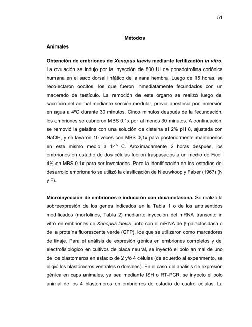 Participación del Factor Silenciador Neuronal Restrictivo - Tesis ...