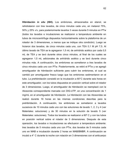 Participación del Factor Silenciador Neuronal Restrictivo - Tesis ...