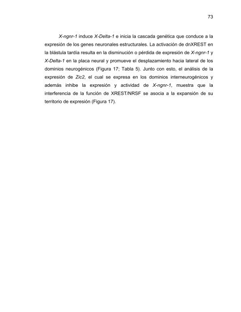 Participación del Factor Silenciador Neuronal Restrictivo - Tesis ...