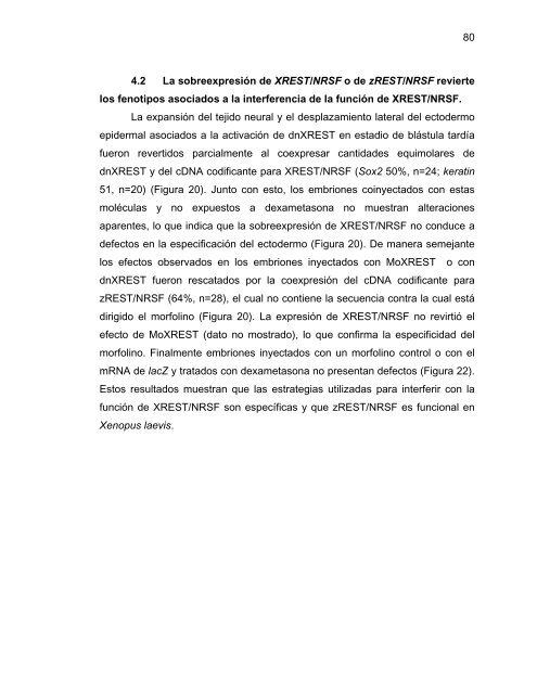 Participación del Factor Silenciador Neuronal Restrictivo - Tesis ...