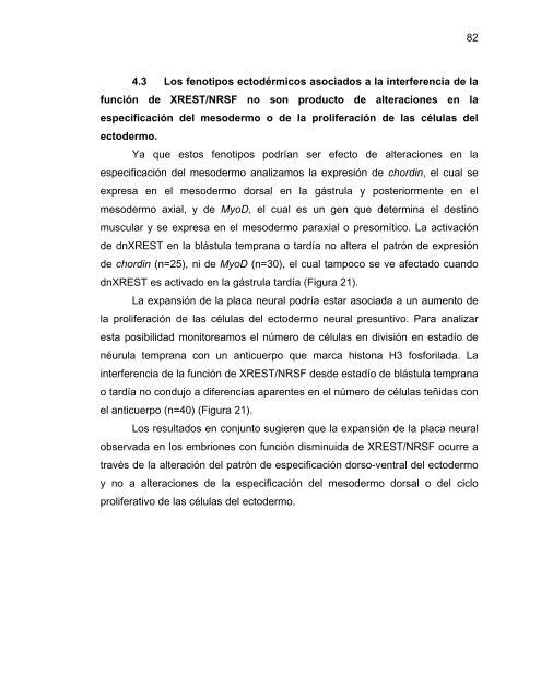 Participación del Factor Silenciador Neuronal Restrictivo - Tesis ...