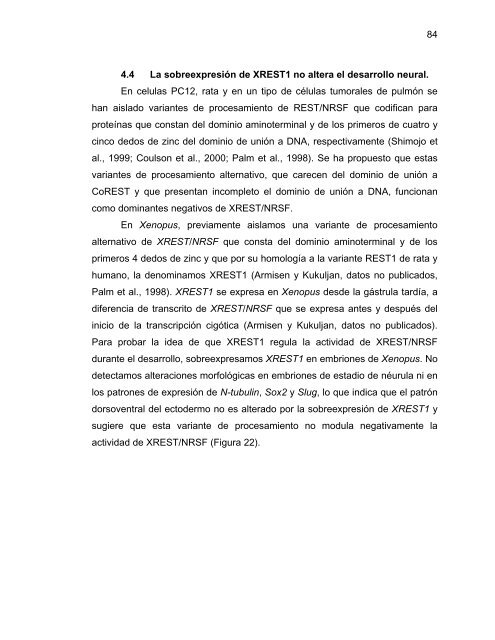 Participación del Factor Silenciador Neuronal Restrictivo - Tesis ...