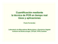 Cuantificación mediante la técnica de PCR en tiempo real ... - FBMC