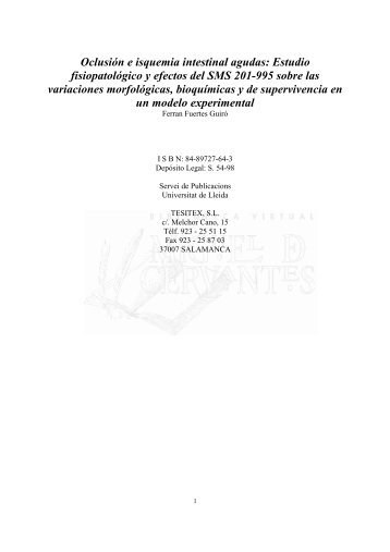 Oclusión e isquemia intestinal agudas - Biblioteca Virtual Miguel de ...