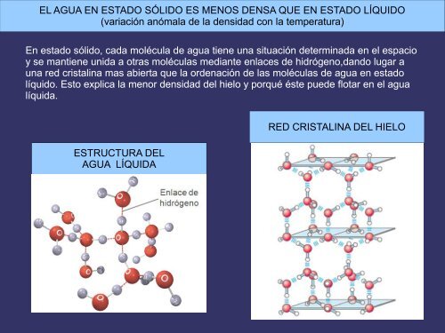 EL AGUA Y LAS SALES MINERALES