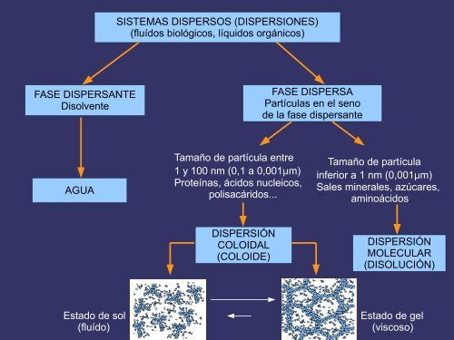 EL AGUA Y LAS SALES MINERALES