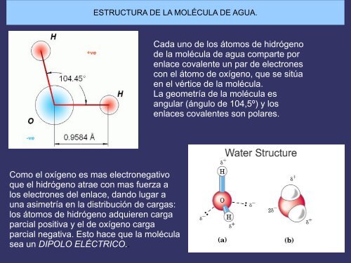 EL AGUA Y LAS SALES MINERALES