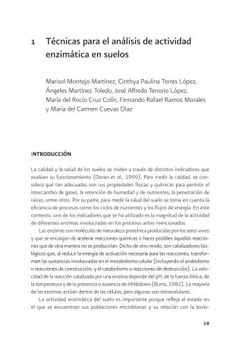 1 Técnicas para el análisis de actividad enzimática en suelos