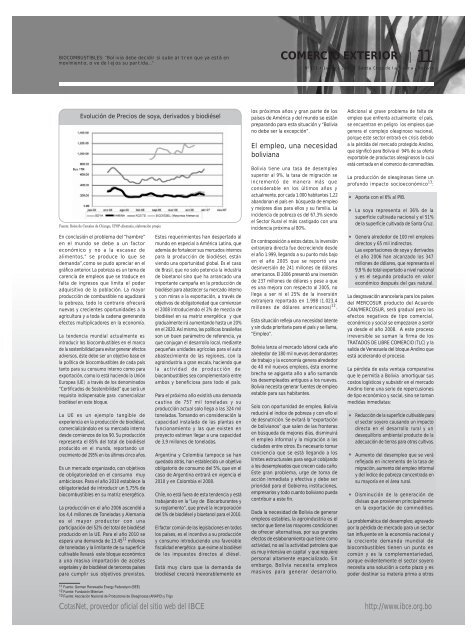 BIOCOMBUSTIBLES: “Bolivia debe decidir si sube al tren - IBCE